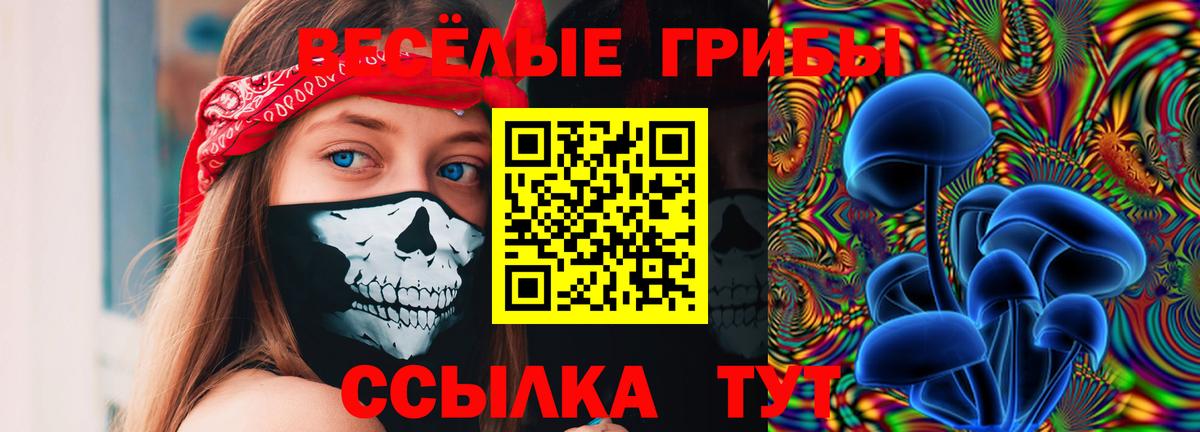 Мытищи  Псилоцибиновые грибы MAGIC MUSHROOMS  Вход с VPN 